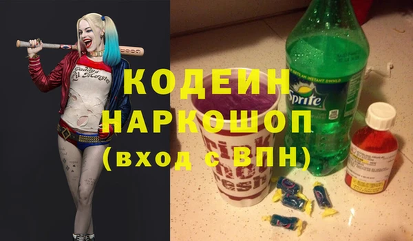 ешки Алексин
