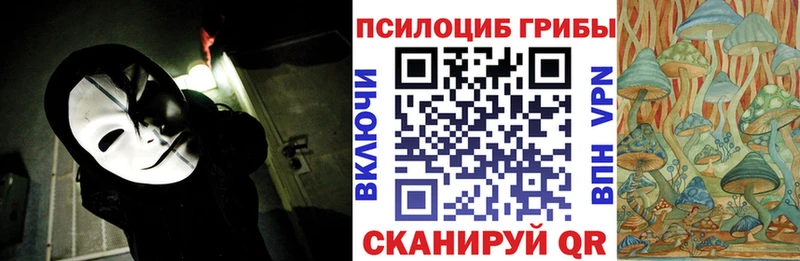Галлюциногенные грибы Psilocybine cubensis Могоча